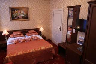 Отель Hotel Kopernik Цехоцинек Двухместный номер Делюкс с 1 кроватью-4